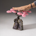 The Love Tree // Custom Genuine Rose Quartz Clustered Gemstone Tree on Amethyst Matrix