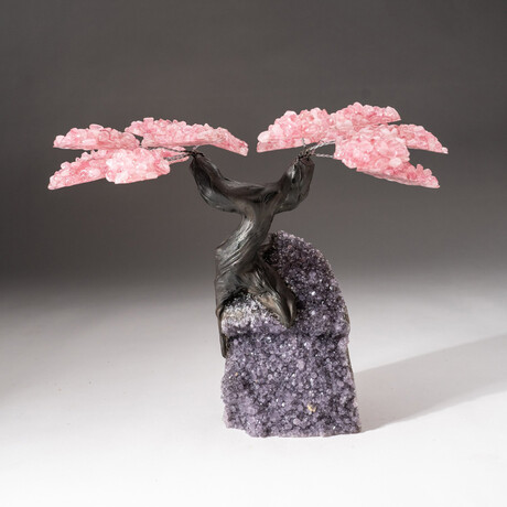 The Love Tree // Genuine Custom Rose Quartz Clustered Gemstone Tree on Amethyst Matrix // V2