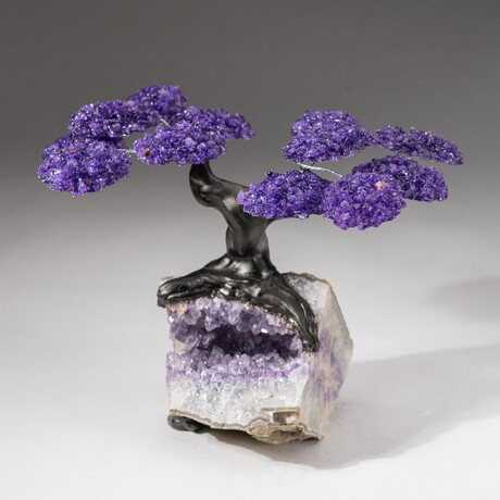 The Protection Tree // Custom Genuine Amethyst Clustered Gemstone Tree on Amethyst Matrix // V4