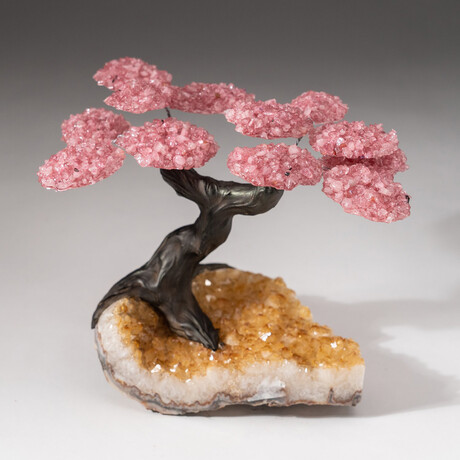 The Comfort Tree // Genuine Custom Rose Quartz Clustered Gemstone Tree on Citrine Matrix // V4