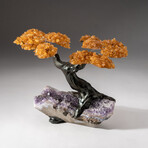 The Money Tree // Custom Genuine Citrine Clustered Gemstone Tree on Amethyst Matrix