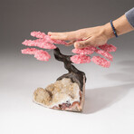 The Wellness Tree // Genuine Custom Rose Quartz Clustered Gemstone Tree on White Quartz Matrix