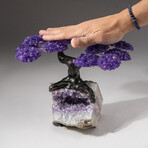 The Protection Tree // Custom Genuine Amethyst Clustered Gemstone Tree on Amethyst Matrix // V4