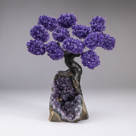 The Protection Tree // Custom Genuine Amethyst Clustered Gemstone Tree on Amethyst Matrix // V3