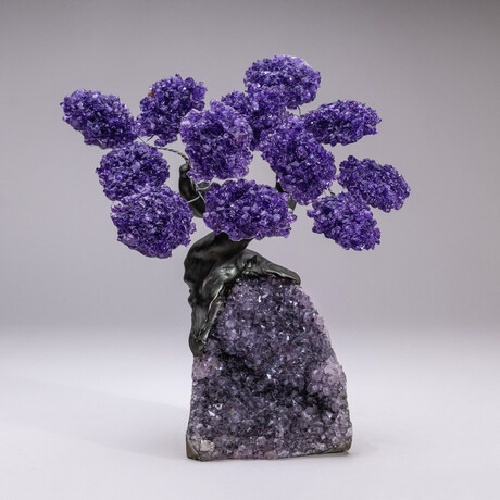 The Protection Tree // Custom Genuine Amethyst Clustered Gemstone Tree on Amethyst Matrix // V2