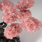 The Love Tree // Genuine Custom Rose Quartz Clustered Gemstone Tree on Amethyst Matrix // V1