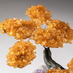 The Money Tree // Custom Genuine Citrine Clustered Gemstone Tree on Amethyst Matrix