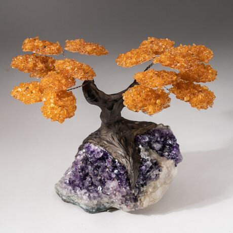 The Money Tree // Custom Citrine Clustered Gemstone Tree on Amethyst Matrix // V2