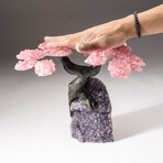 The Love Tree // Genuine Custom Rose Quartz Clustered Gemstone Tree on Amethyst Matrix // V2