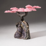 The Love Tree // Custom Genuine Rose Quartz Clustered Gemstone Tree on Amethyst Matrix