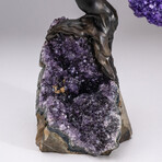 The Protection Tree // Custom Genuine Amethyst Clustered Gemstone Tree on Amethyst Matrix // V3