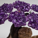 The Empowerment Tree // Genuine Amethyst Clustered Gemstone Tree on Citrine Matrix // Small