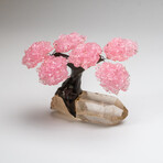 The Tree of Light // Genuine Rose Quartz Clustered Gemstone Tree on Clear Quartz Crystal Matrix // Small