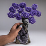 The Protection Tree // Custom Genuine Amethyst Clustered Gemstone Tree on Amethyst Matrix // V3