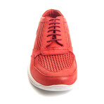 Daniel Sneaker // Red (Euro Size 39)