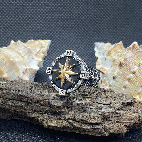 Sterling Silver + Black Onyx Compass Statement Ring // Silver + Gold (Ring Size: 9)