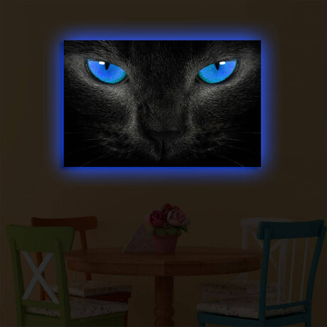 Blue Eyed Cat I