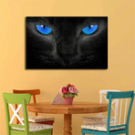 Blue Eyed Cat I