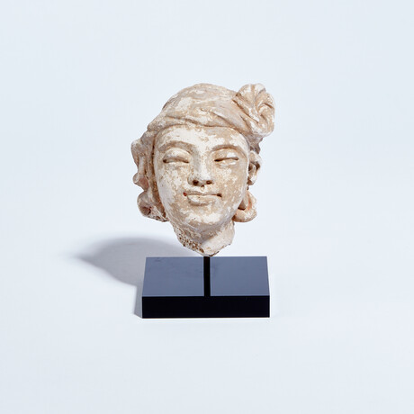 Excellent Indus Valley Stucco Head // 4th - 5th Century AD