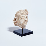 Excellent Indus Valley Stucco Head // 4th - 5th Century AD