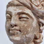 Excellent Indus Valley Stucco Head // 4th - 5th Century AD