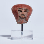 Ancient Ecuador, 3500 - 1500 BC // Valdivia "Venus" head