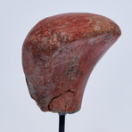 Ancient Ecuador, 3500 - 1500 BC // Valdivia "Venus" head