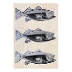 Andy Warhol // Fish III.39 // 1983