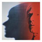 Andy Warhol // Myths: The Shadow II.267  // 1981