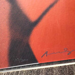 Andy Warhol // Myths: The Shadow II.267  // 1981