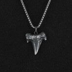 Sterling Silver Shark Tooth Pendant + Chain (20")