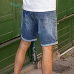 Elley Shorts // Blue (33)