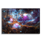 Cosmic Winert Wonderland (12"H x 16"W x 0.13"D)