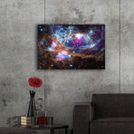 Cosmic Winert Wonderland (12"H x 16"W x 0.13"D)