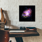 Crab Nebula Multi-Wavelengths (12"H x 12"W x 0.13"D)