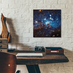 LH 95 Star Cluster (12"H x 12"W x 0.13"D)