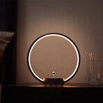 CIRCLO // The Flyswitch Lamp