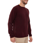 Sanabria Turtleneck Pullover Sweatshirt // Bordeaux (XS)