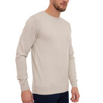 Odel Pullover Sweatshirt // Beige (XS)