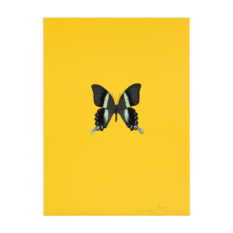 Damien Hirst // New Beginnings 2 // 2011