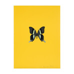 Damien Hirst // New Beginnings 2 // 2011