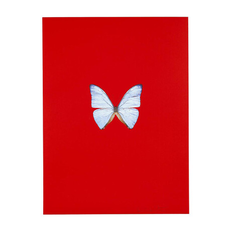 Damien Hirst // New Beginnings 1 // 2011
