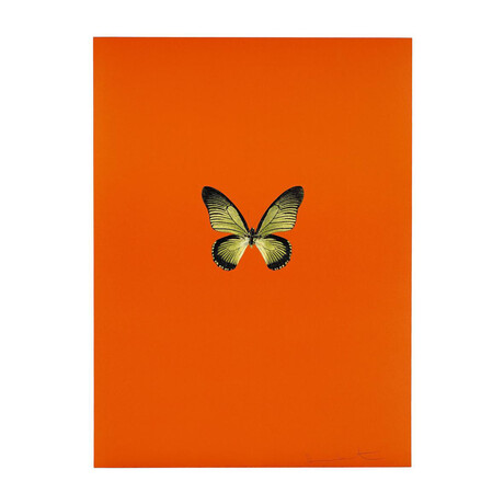 Damien Hirst // New Beginnings 6 // 2011