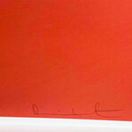 Damien Hirst // New Beginnings 1 // 2011