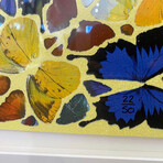 Damien Hirst // Benevolence // 2011