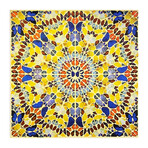 Damien Hirst // Benevolence // 2011