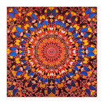 Damien Hirst // Cathedral Print, Santiago de Compostela // 2007