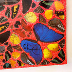 Damien Hirst // Cathedral Print, Santiago de Compostela // 2007