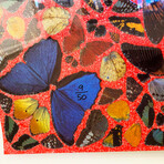 Damien Hirst // Cathedral Print, Santiago de Compostela // 2007