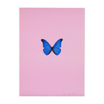 Damien Hirst // New Beginnings 4 // 2011